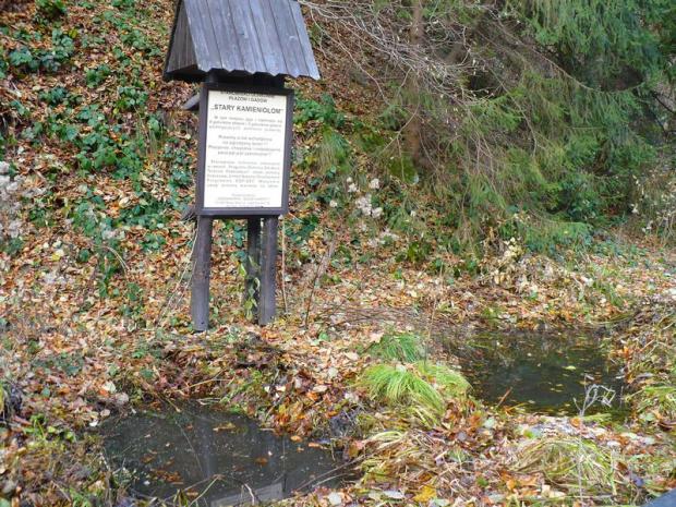park200911_6.jpg