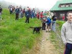 Kliknij by wej¶æ labowska2010_070_t1.jpg
