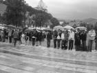 Kliknij by wej¶æ robert2010_16_t1.jpg