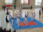 Kliknij by wej¶æ hala2012_62_t1.jpg