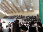 Kliknij by wej¶æ hala2012_68_t1.jpg