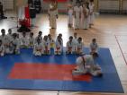 Kliknij by wej¶æ hala2012_72_t1.jpg
