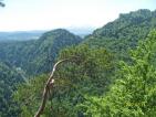 Kliknij by wej¶æ przyrodnicy2012_05_t1.jpg