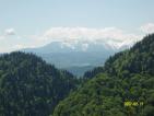 Kliknij by wej¶æ przyrodnicy2012_06_t1.jpg