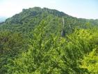 Kliknij by wej¶æ przyrodnicy2012_09_t1.jpg