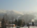 Kliknij by wej¶æ jaselka2012_69_t1.jpg