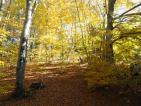 Kliknij by wej¶æ rytro_jesien2012_02_t1.jpg