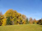 Kliknij by wej¶æ rytro_jesien2012_03_t1.jpg