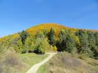 Kliknij by wej¶æ rytro_jesien2012_06_t1.jpg