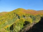 Kliknij by wej¶æ rytro_jesien2012_18_t1.jpg
