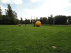 Kliknij by wej¶æ nauka2013_61_t1.jpg