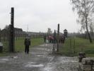 Kliknij by wej¶æ oswiecim2008_21_t1.jpg
