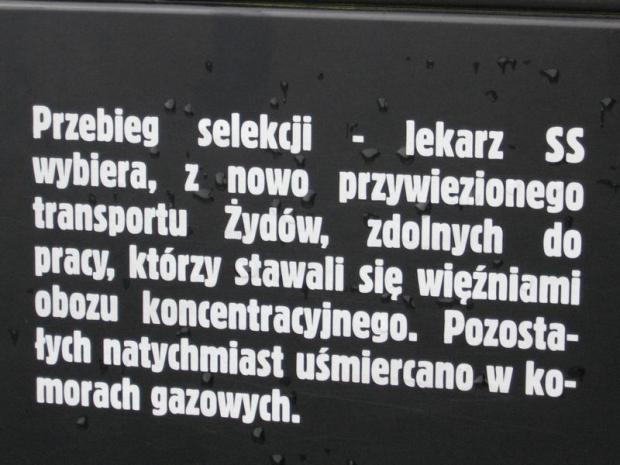 oswiecim2008_22.jpg