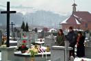 Kliknij by wej¶æ sztandar2009_38_t1.jpg